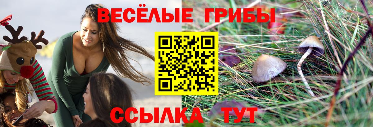 Псилоцибиновые грибы ЛСД  Псилоцибиновые грибы Psilocybe  Вход с VPN  Великий Устюг 